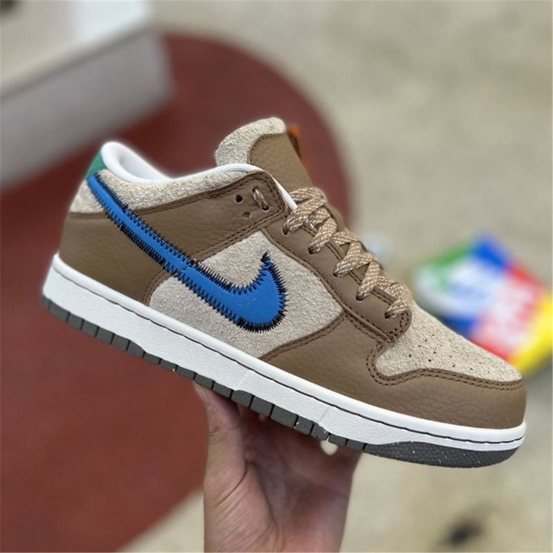 Nike Dunk Low Sneaker