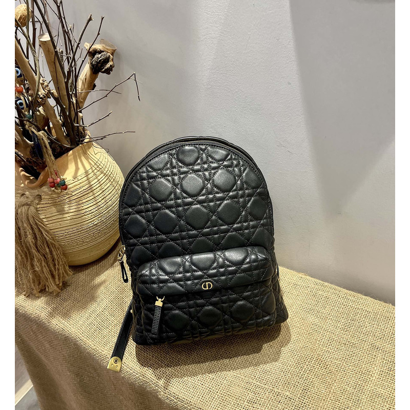 D*or lambskin backpack