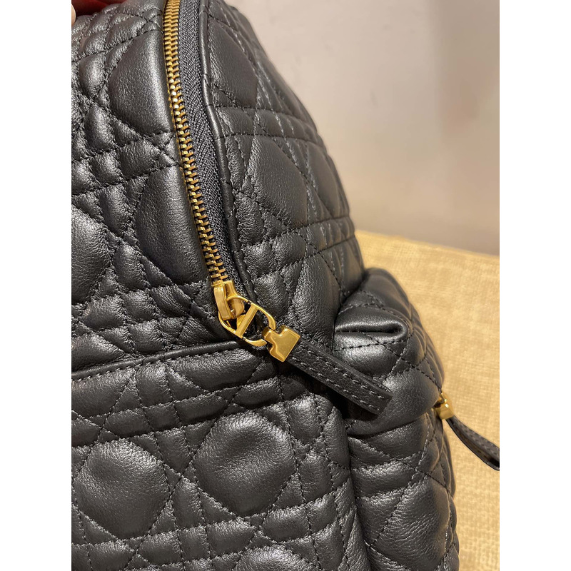 D*or lambskin backpack