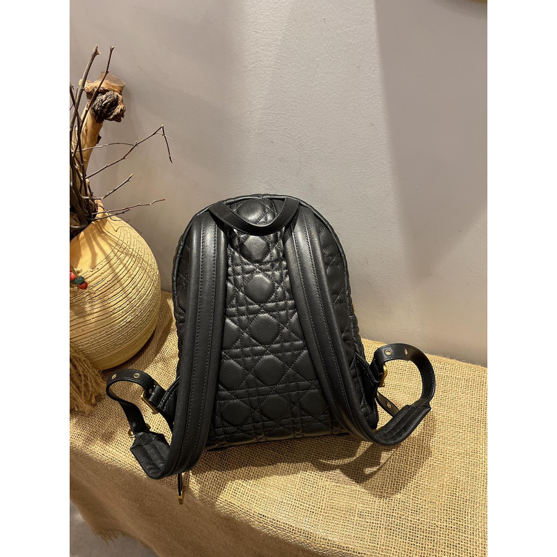 D*or lambskin backpack