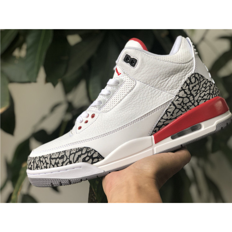 Jordan 3 Retro Hall of Fame