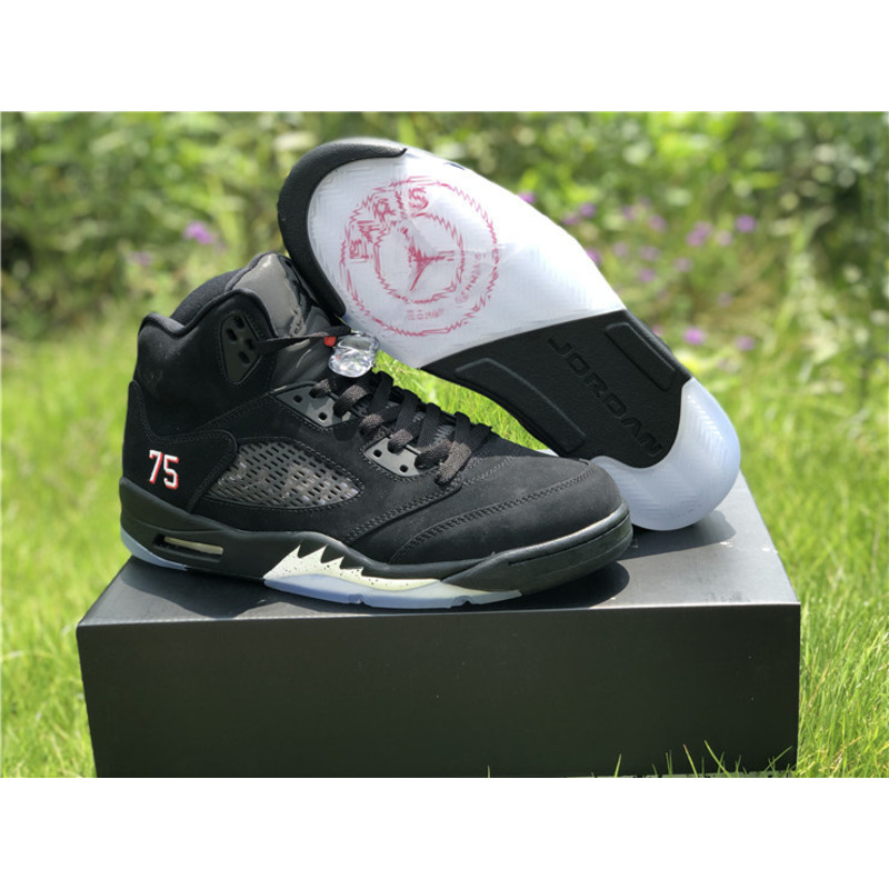 Jordan 5 Retro Paris Saint-Germain 2018