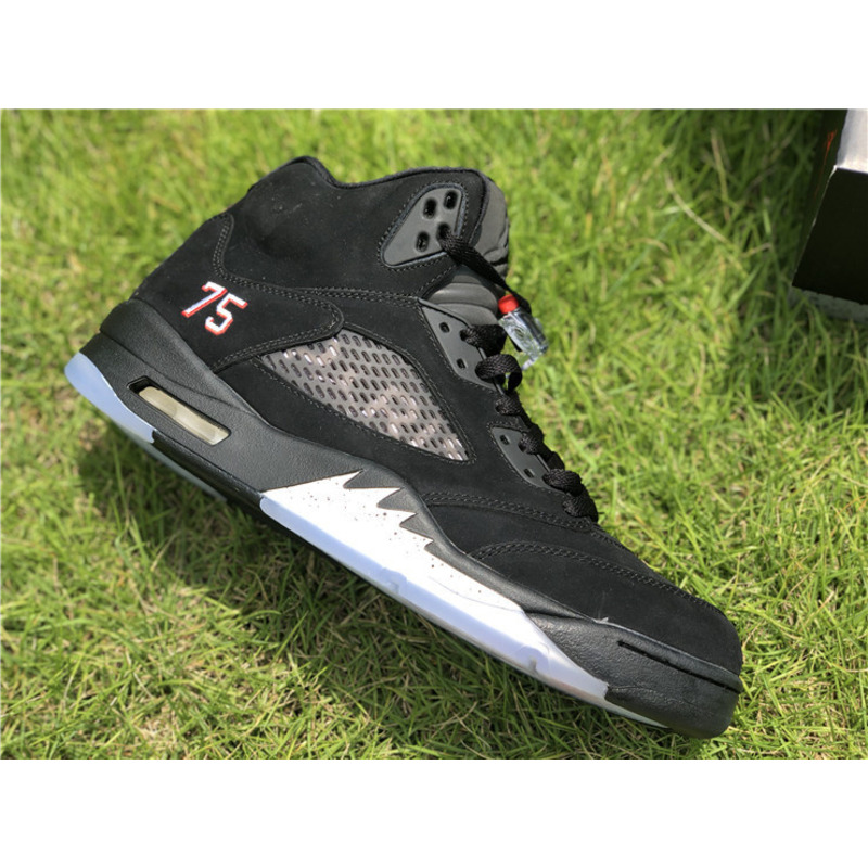 Jordan 5 Retro Paris Saint-Germain 2018