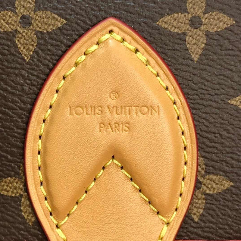 LV Diane Monogram Crossbody Bag  9 x 15 x 24cm