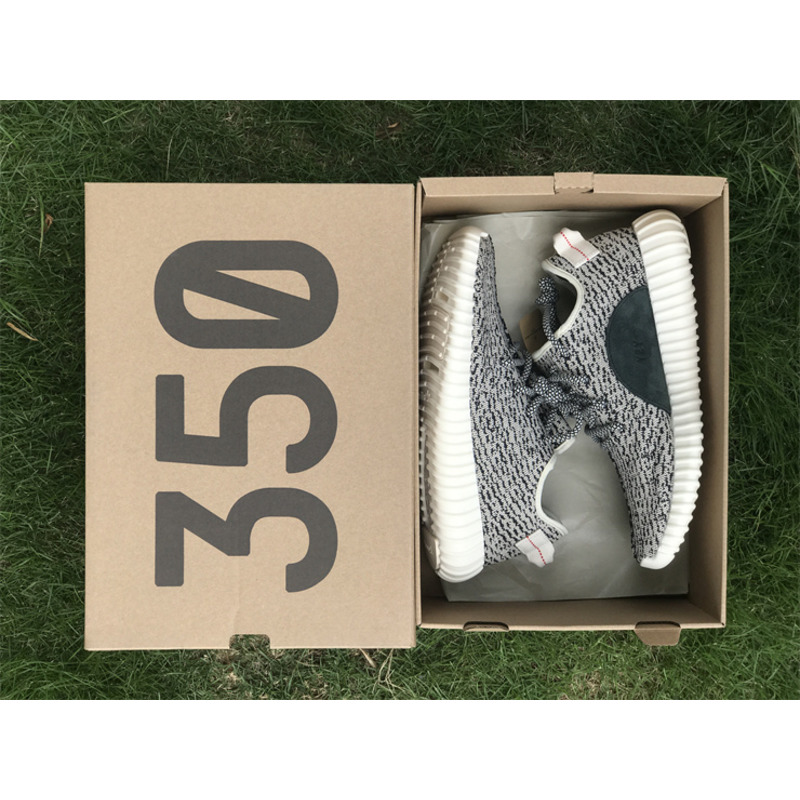 Ad*s  yeezy 350 turtle dove