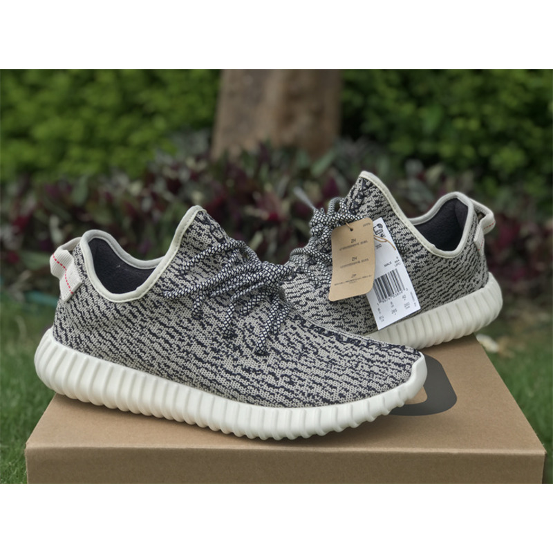 Ad*s  yeezy 350 turtle dove