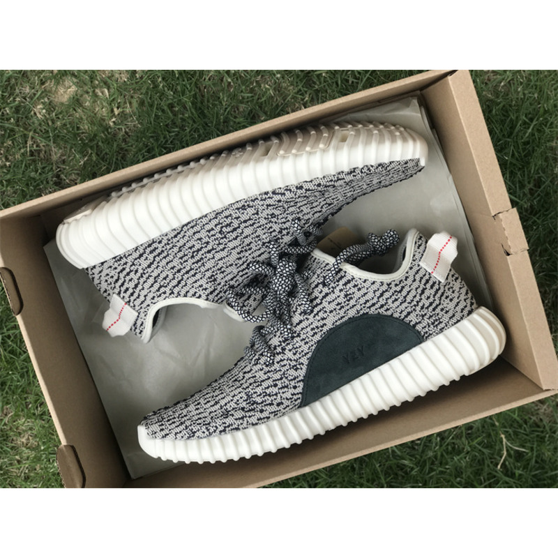 Ad*s  yeezy 350 turtle dove