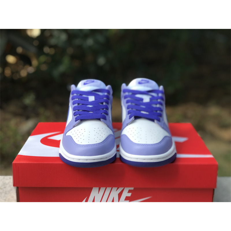 Nike Dunk Low GS Sneakers Blueberry