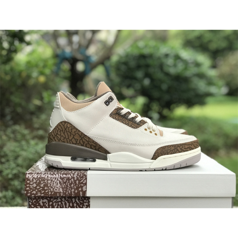 Jordan 3 Retro Palomino