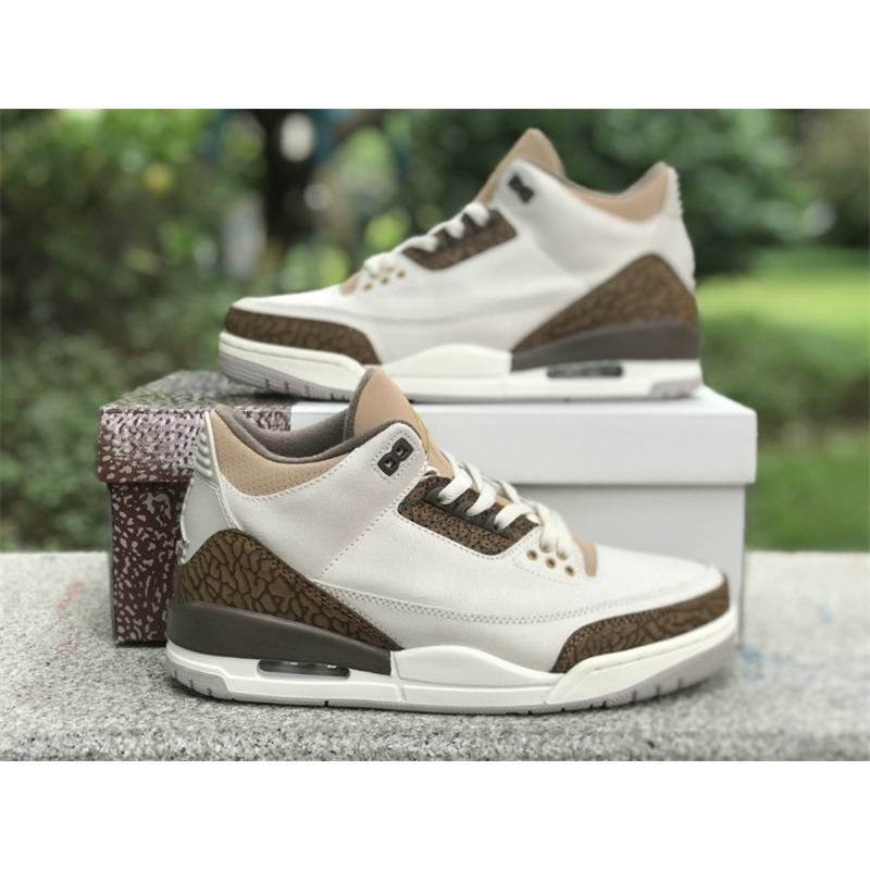 Jordan 3 Retro Palomino