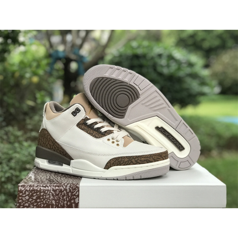 Jordan 3 Retro Palomino