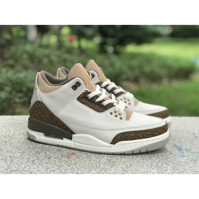 Jordan 3 Retro Palomino