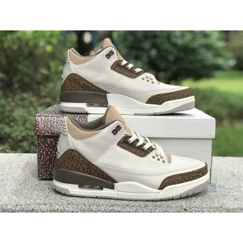 Jordan 3 Retro Palomino