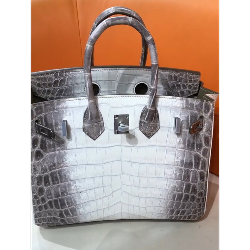 Hermès White Matte Niloticus Crocodile Himalaya Birkin 25 Palladium Hardware