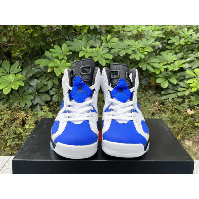 Air Jordan 6 Sneakers Royal Blue