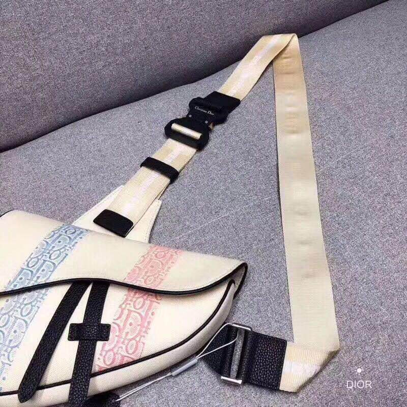 D*or rainbow stripe saddle bag