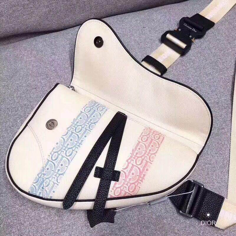 D*or rainbow stripe saddle bag