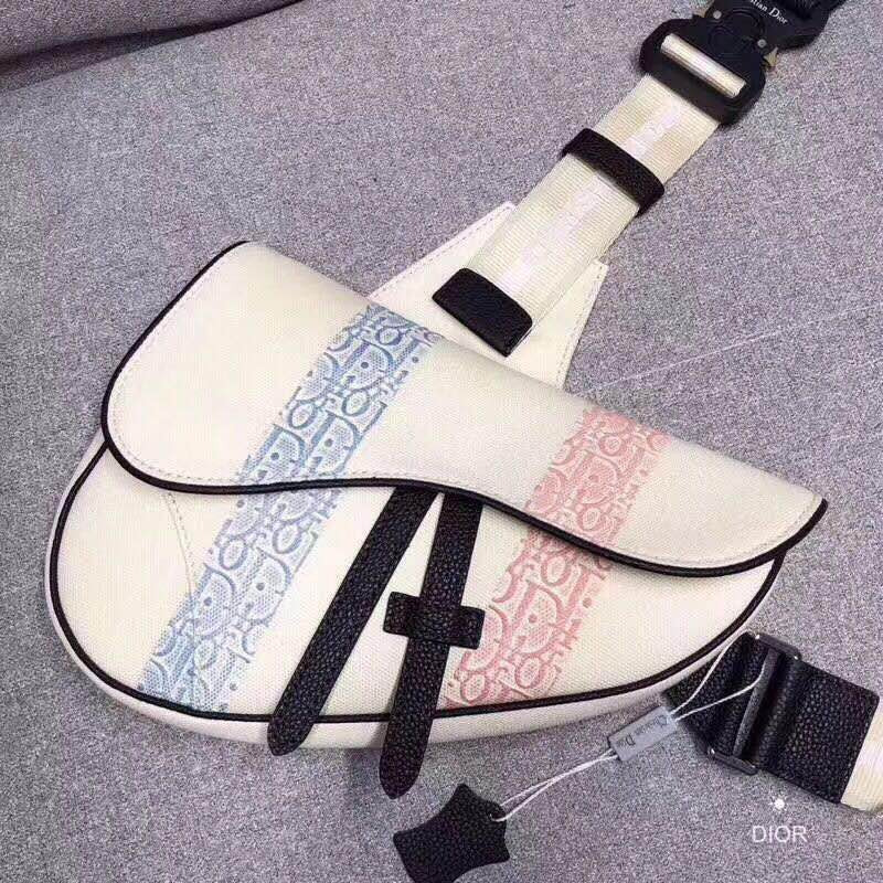 D*or rainbow stripe saddle bag