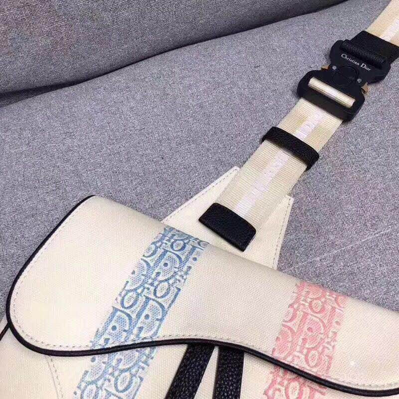 D*or rainbow stripe saddle bag