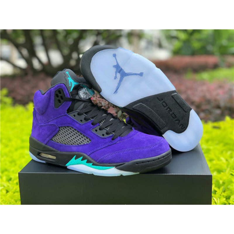 Air Jordan 5