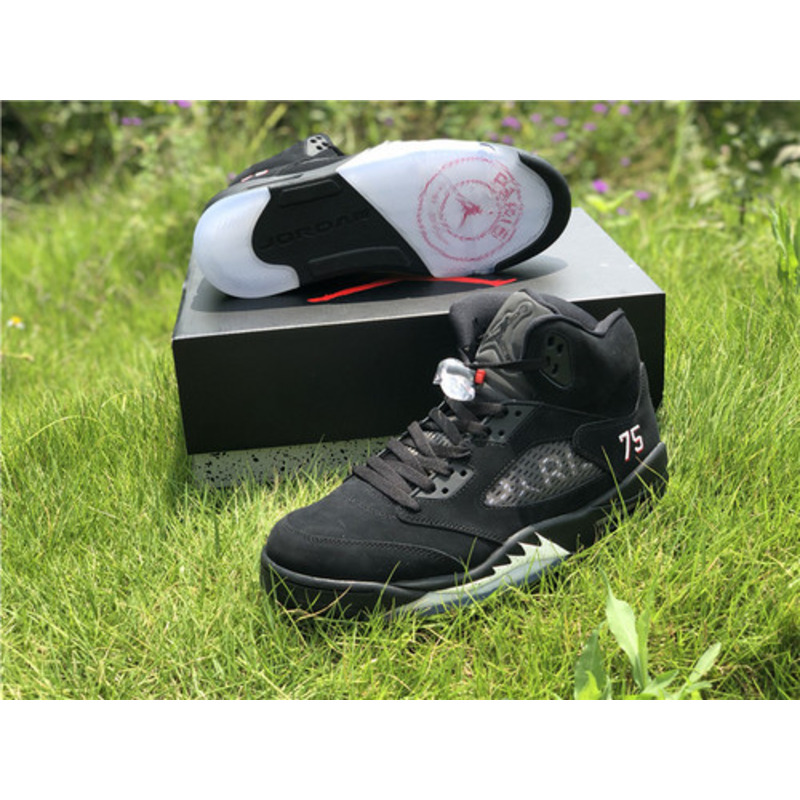 Air Jordan 5