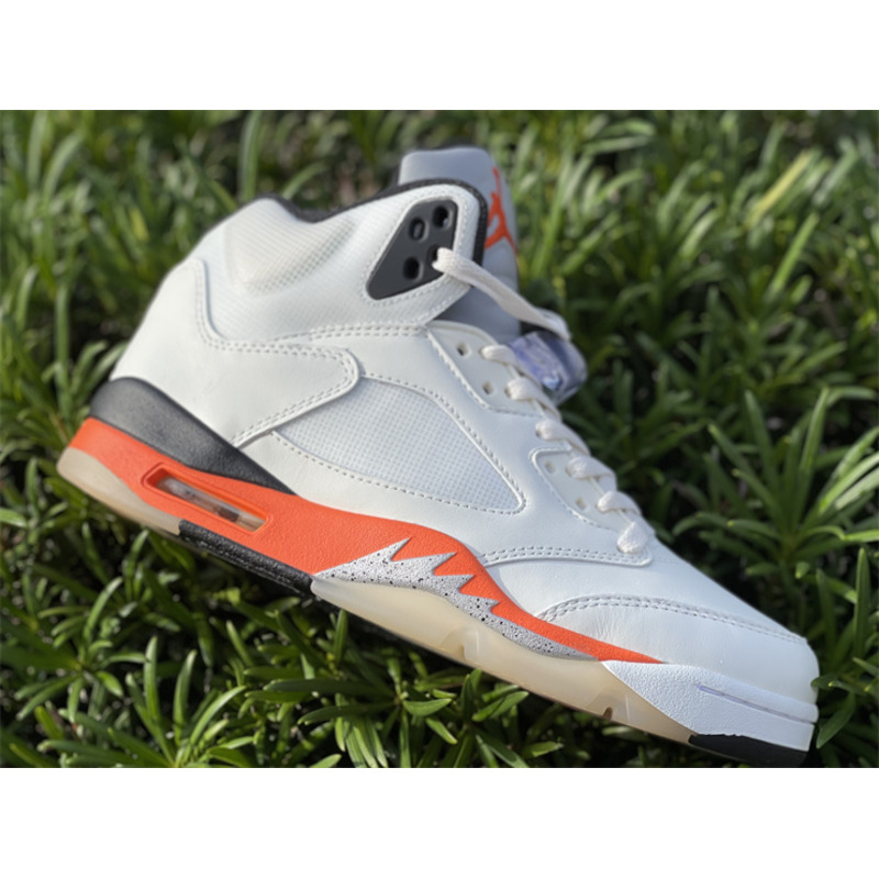 Air Jordan 5"Shattered Backboard" DC1060 100 Sneakers Men