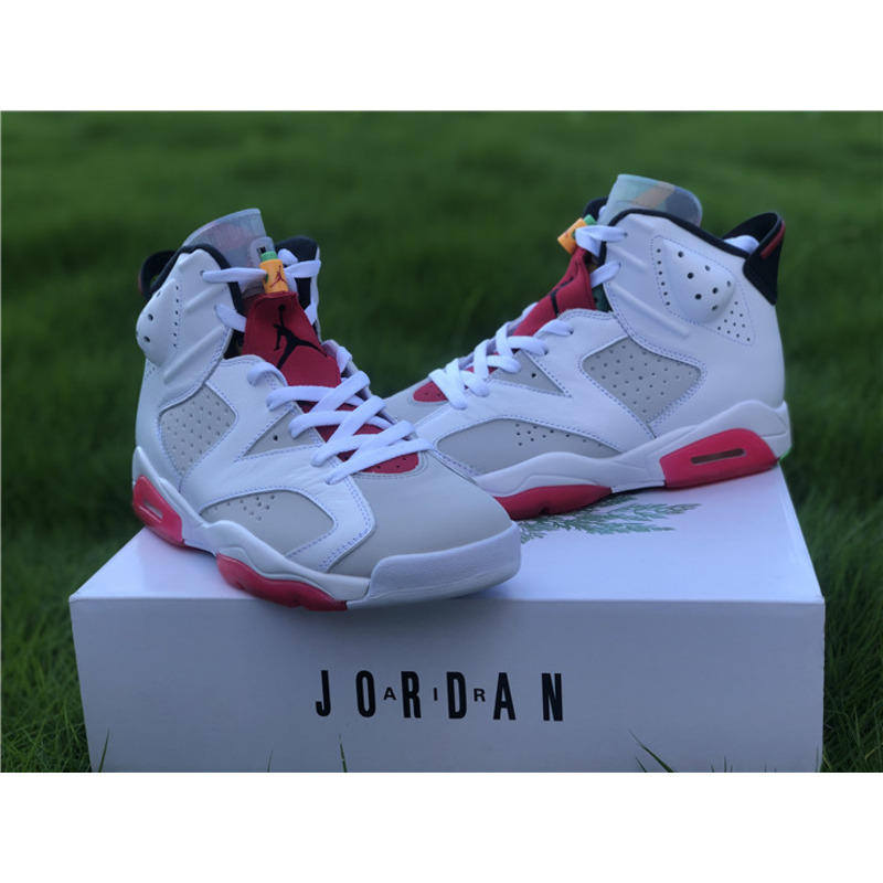 Air Jordan 6"Hare" CT8529 062 Sneakers Men