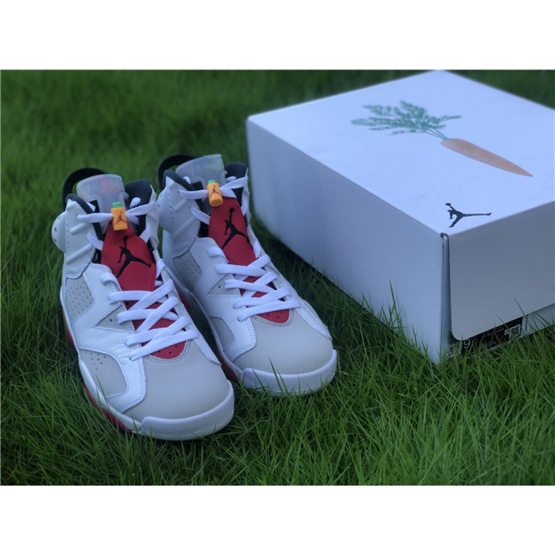 Air Jordan 6"Hare" CT8529 062 Sneakers Men