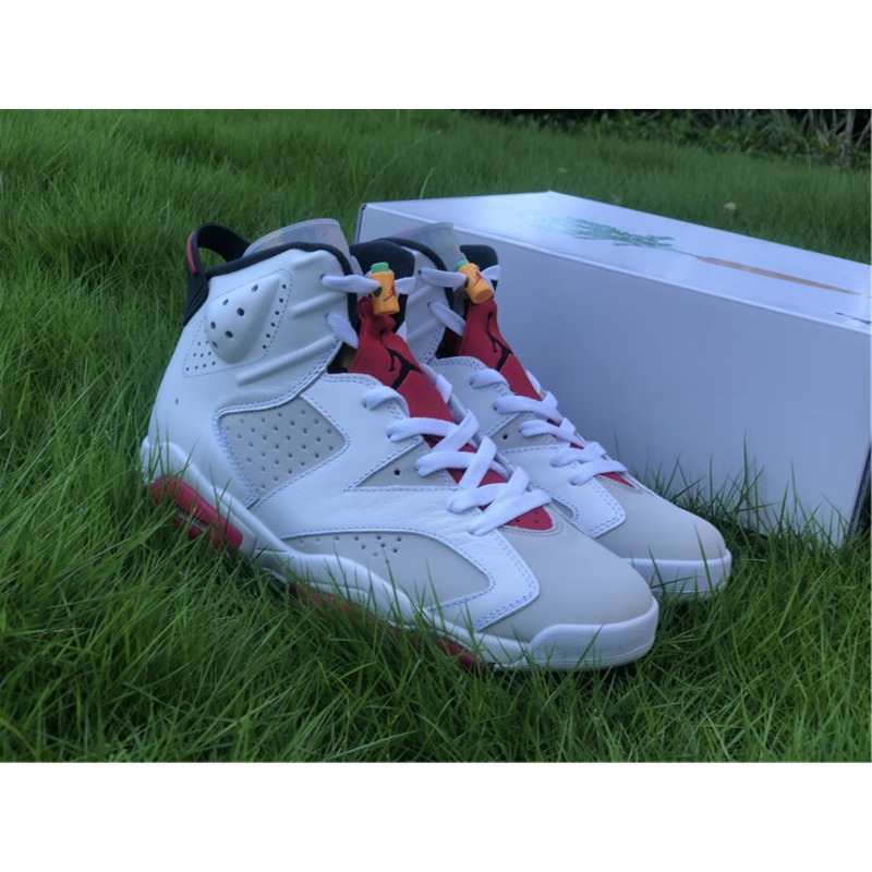 Air Jordan 6"Hare" CT8529 062 Sneakers Men