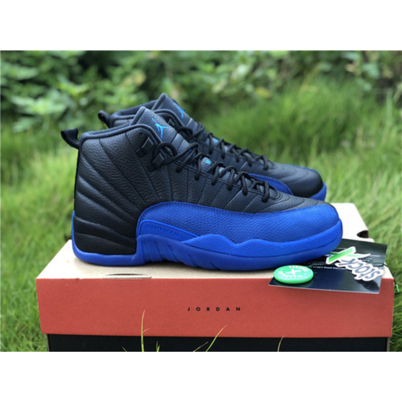 Air Jordan 12