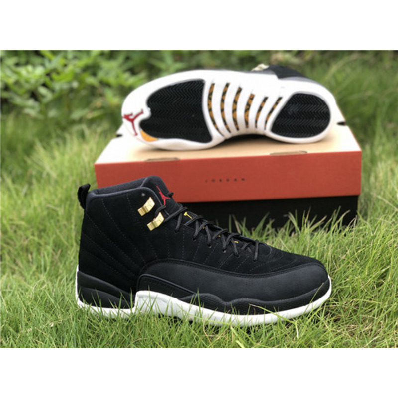 Air Jordan 12