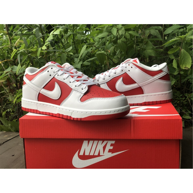 Nike Air Dunk Low "University" Red DD1391 600 Sneakers Men Women