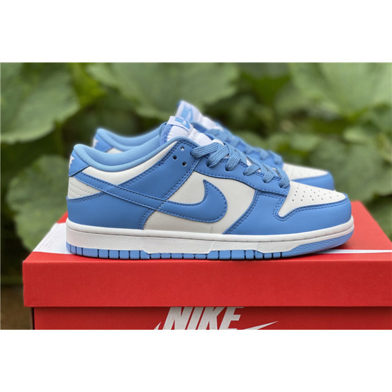 Nike Dunk Low DD1391 102 Sneakers Men Women