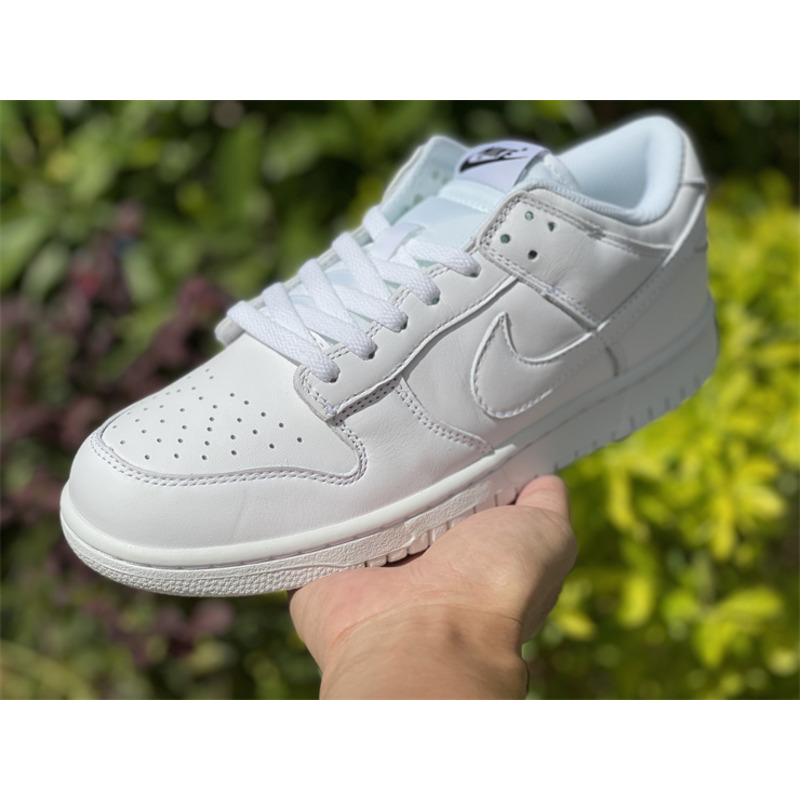 Nike Dunk Low DD1503 109 Sneakers Men Women