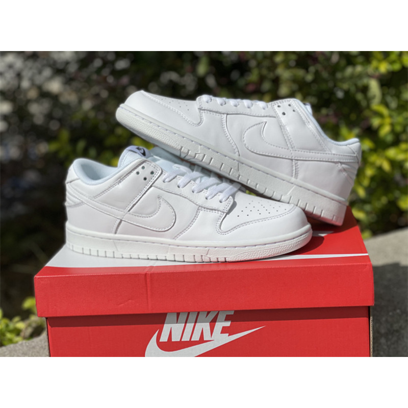 Nike Dunk Low DD1503 109 Sneakers Men Women