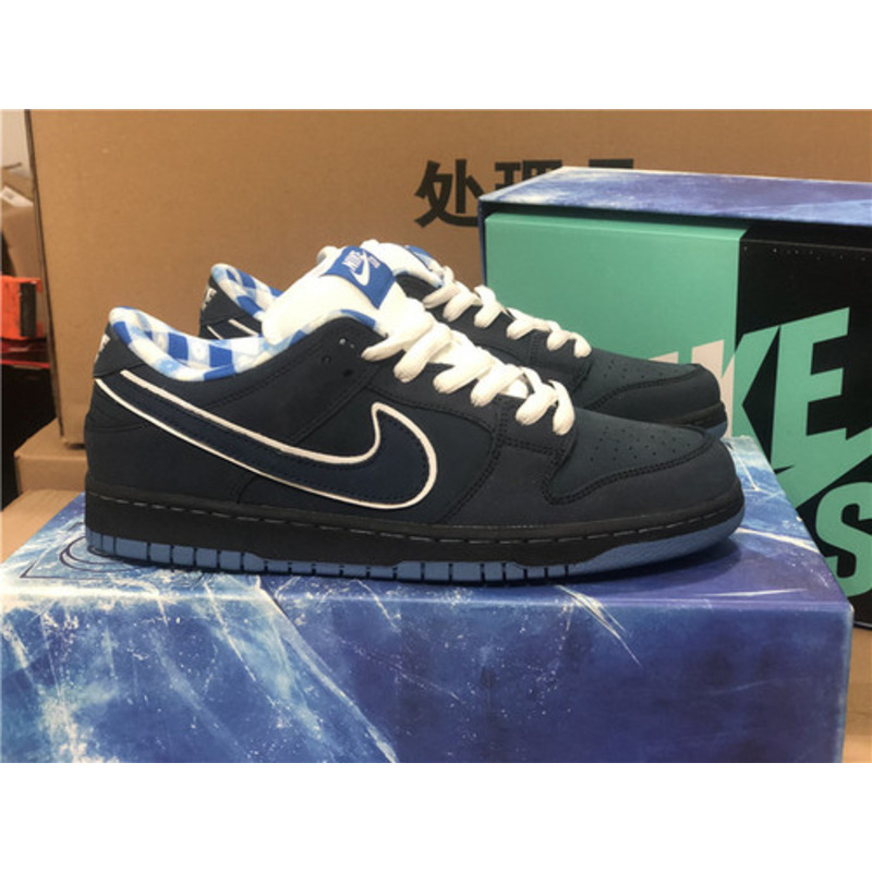 Nike SB Dunk Low Sneakers Men Women