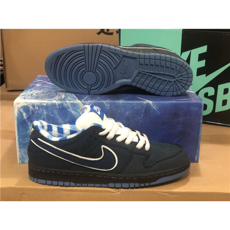 Nike SB Dunk Low Sneakers Men Women