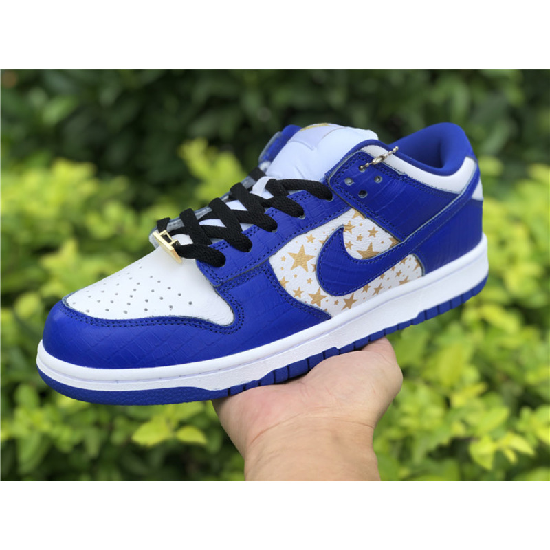 Sup*e x nike sb dunk low dh3228 100 sneakers men women