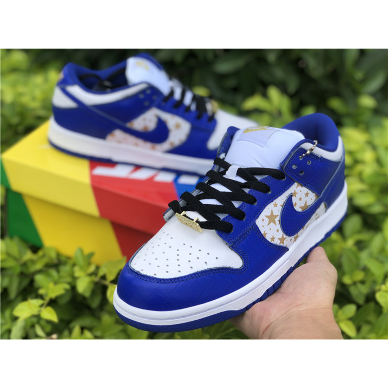 Sup*e x nike sb dunk low dh3228 100 sneakers men women